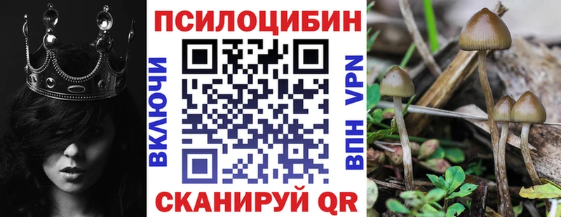 Псилоцибиновые грибы прущие грибы  Богучар 